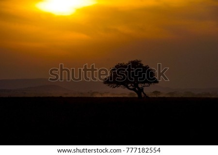 great colored sky above a dark sunset scenery in the african safari national park serengeti in tanzania with nice yellow colors and a unique looking tree in the middle of the picture