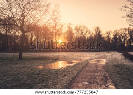 Sunrise in the winter reflecting in a frozen puddle by a road surrounded by trees