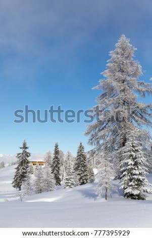 Winter in Austrian Alps 
