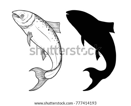 Salmon art highly detailed in line art style.Fish vector by hand drawing.Fish tattoo on white background.Black and white fish vector on white background.Salmon sketch for coloring book.