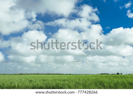 Blue sky and beautiful cloud with meadow