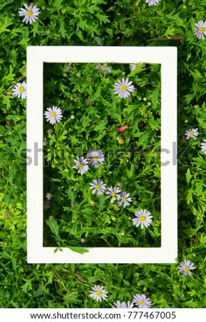 Creative layout made of flowers and leaves with White frame. Top view. Nature concept