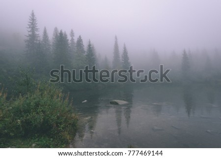 reflections of trees in the lake water at sunrise with morning mist over the water and heavy fog. mountain area water supply - vintage effect film look