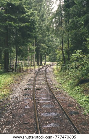 wavy railroad tracks in wet summer day in forest with green meadow on horizon - vintage retro look
