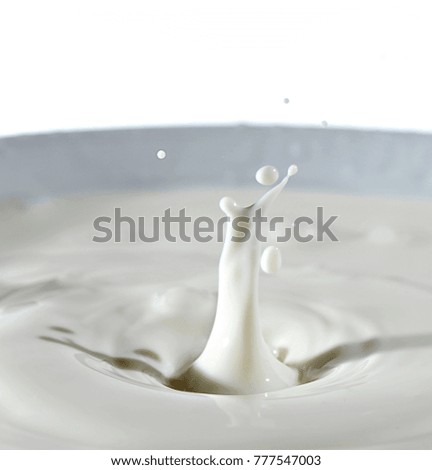 Milk Droplets Splash Macro