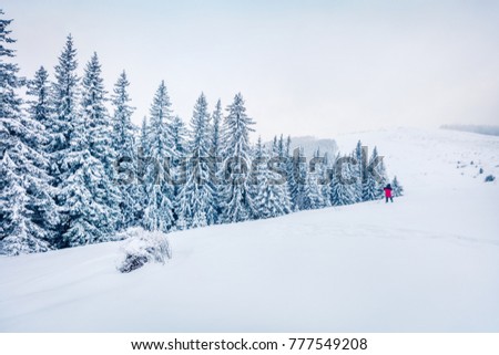 Photographer takes picture in winter mountains. Fantastic morning view of mountain hills with snow covered fir trees. Bright outdoor scene, Happy New Year celebration concept. 