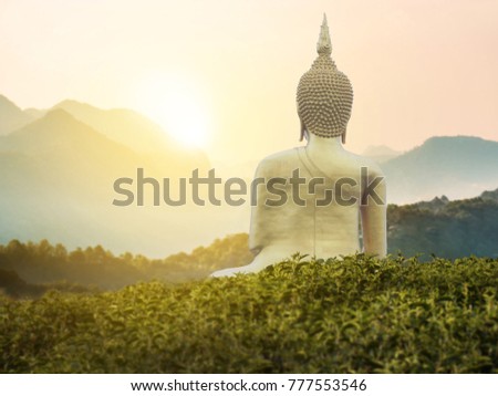 big great powerful Buddha statue in gold color in the middle of green park on the mountain with beautiful sunset or sunrise and wonderful nature scene at background. Buddha image for Buddhists