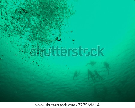 silhouette of snorkelers from below