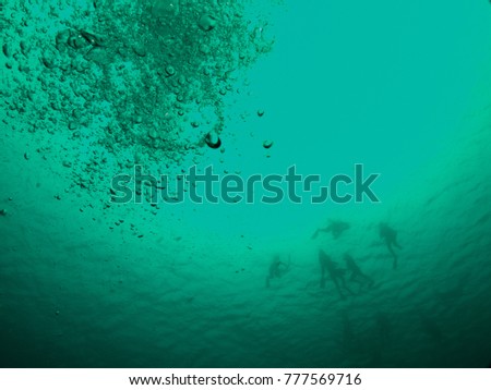 silhouette of snorkelers from below