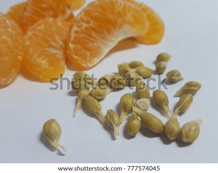 Orange seeds on the white background.selective focus.