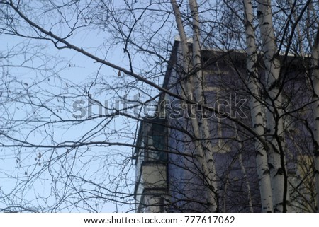 Branches against the background of an apartment house. Autumn and winter background