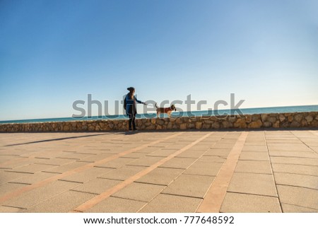 Woman walking with her dog Brown and white Basset Hound on the sidewalk of the beach in the winter sun with cap and jacket