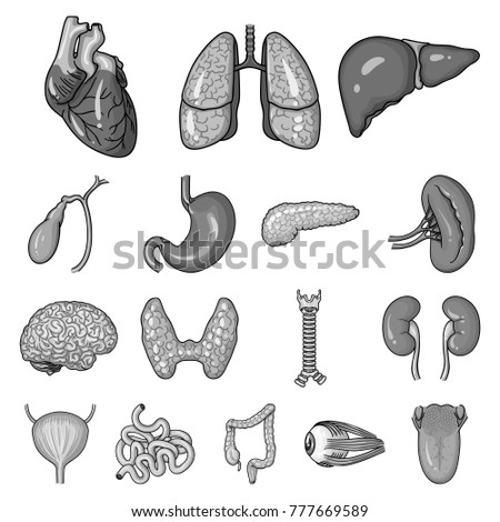 Human organs monochrome icons in set collection for design. Anatomy and internal organs vector symbol stock web illustration.