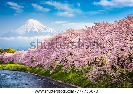Mt. Fuji, Japan spring landscape. Royalty-Free Stock Photo #777733873