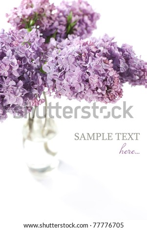 Bouquet of violet lilac in a vase on white background