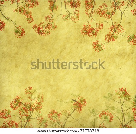 Peacock flowers on tree with Old antique vintage paper background