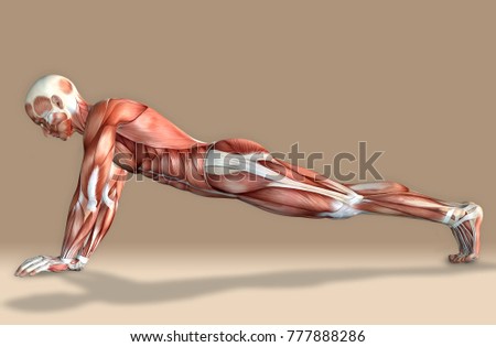 3d illustration of a medical male figure exercising