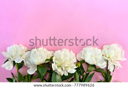 White peonies on a of pink paper background with space for text. Top view, flat lay. 
