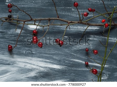 Winter wood blue and white background with a rose hip on a branch, natural light, top view