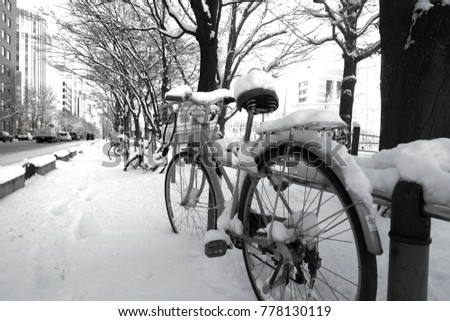Bicycle on the snow , Black and white picture