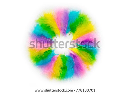 Multicolored feathers are arranged in a circle. Iridescent colors.