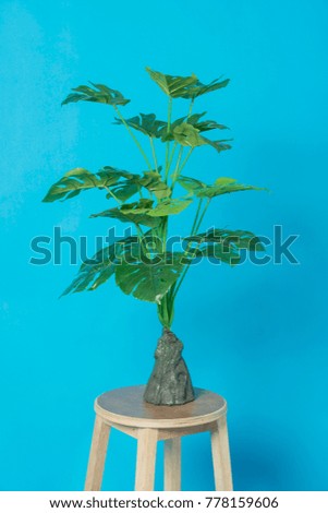 plant in blue screen