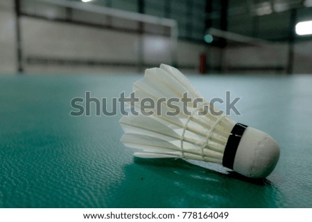 Badminton shuttlecock green court floor and Badminton Stadium