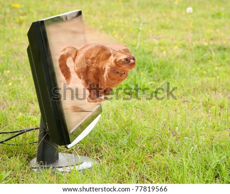 Orange tabby cat dashing out of a computer monitor