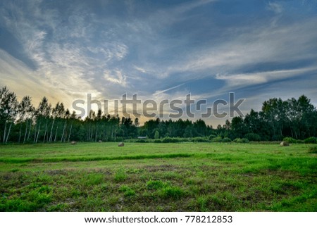 empty colorful meadows in countryside with flowers in foreground. nature in latvia