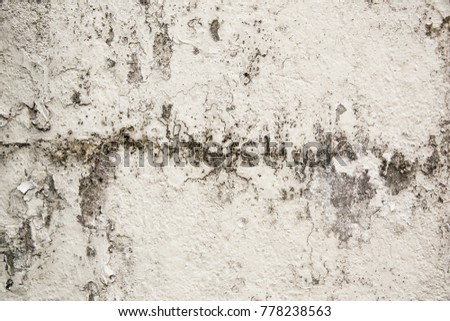background of vintage rustic white brick cement wall with peel cracks paint from extreme weather rain hot heat temperature sun shine with algae forming from moisture, good for photography backdrop