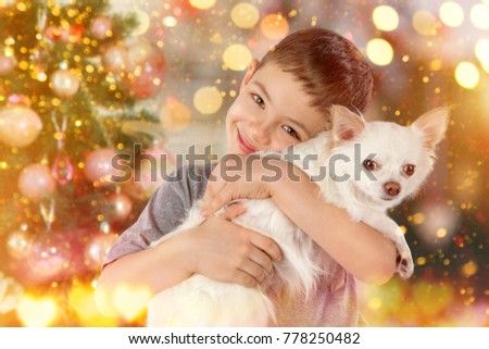 Portrait of boy with white Chihuahua dog beside Christmas tree. Child playing with puppy. Chinese calendar new year 2018. Holiday concept, Christmas, New year background.