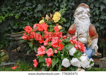 The dwarf with flowers and a wheelbarrow. Eastern Moravia. Czech Republic. Europe.