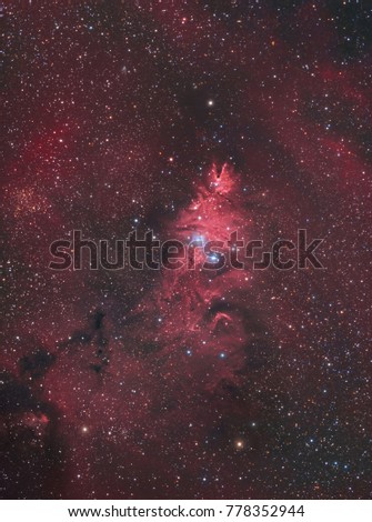 The Cone Nebula and the Christmas Tree Cluster (NGC 2264) in the constellation Monoceros