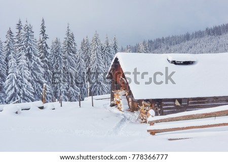 Cozy wooden hut high in the snowy mountains. Great pine trees on the background. Cloudy day on Carpathians Ukraine. Happy New Year and Merry Christmas.
