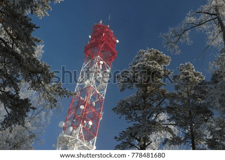 Radio and television tower on a background of blue sky and tree crowns. High resolution and detail.