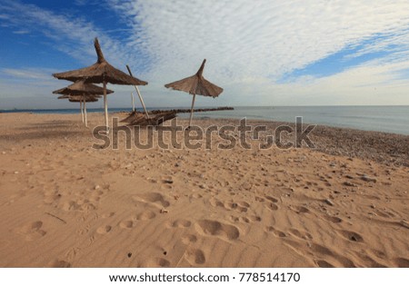 Beautiful wild beach on the Black Sea.