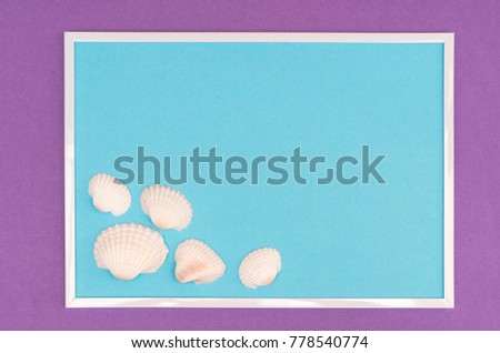 white seashells in a white frame on a colored background