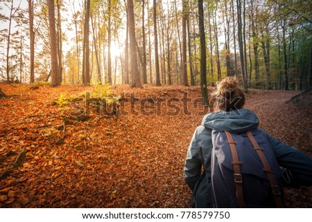 Afternoon walk in the Saxon Switzerland Beautiful sunshine in this autumn. Great wether in fall for wanderlust in this landscapes. Colorful foliage and leaves in the forests. Sunlight and colorful.
