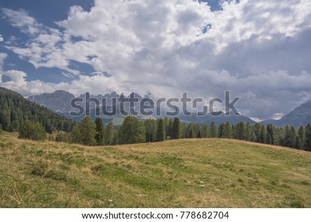 Panoramic view of Pale di San Martino mountain range & summits in clouds as seen from Malga Bocche, Paneveggio Nature park, above Rolle pass, Bellamonte village, Predazzo , Trentino, Dolomites, Italy