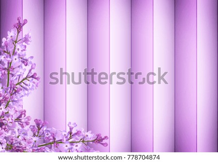 Purple lilac background