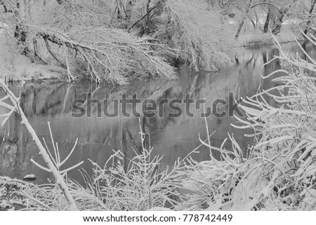 frozen river and trees in winter season