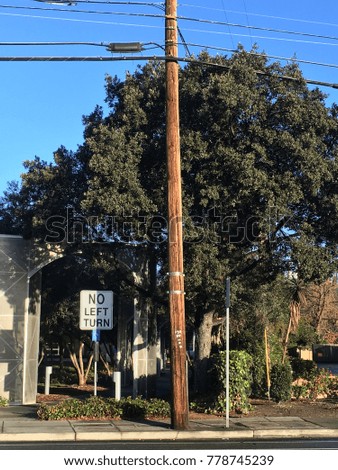 street sign, telephone pole and tree