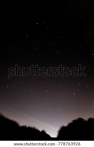 Clear nights sky with stars and grass silhouette