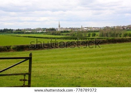 Green Pasture in Ireland