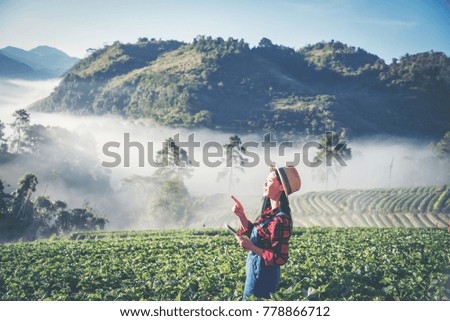 Asian women relax in the holiday. Stand photograph selfie In the Strawberry Farm. Mountain Park happily. In thailand