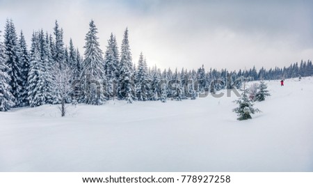 Photographer takes picture in winter mountains. Fantastic morning view of mountain hills with snow covered fir trees. Bright outdoor scene, Happy New Year celebration concept. 
