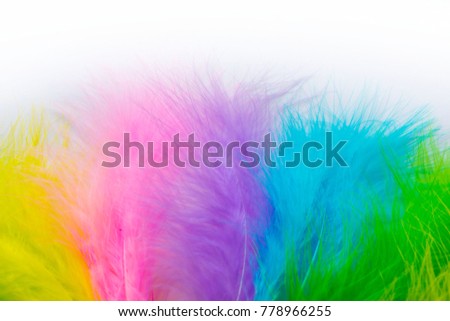 Part of the costume for the Brazilian carnival. Colored bright feathers.