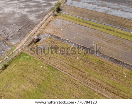 Beautiful aerial view of the stork following tractor plowing paddy field in Bukit Gambir, Muar, Johore.