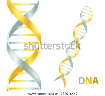Gold and silver Dna icon. Dna symbol. Dna helix symbol. Gene icon. Vector illustration on white background