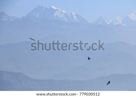  Silhouette of flying birds with light bluesky and layers of mountains at background 